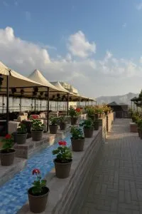 هتل اراد مشهد