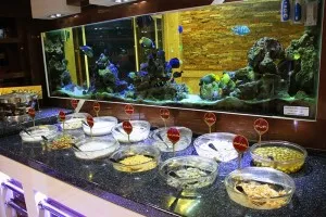 رستوران رضایی مشهد