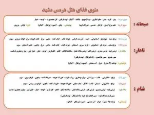 منو غذایی هتل هرمس مشهد