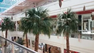 مرکز خرید پردیس 2 کیش