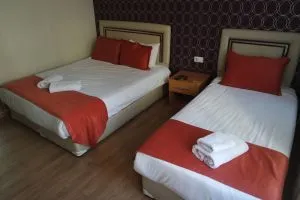 اتاق 3 تخته هتل ریدل استانبول