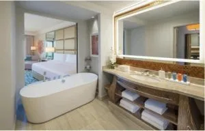 آتلانتیس د پالم