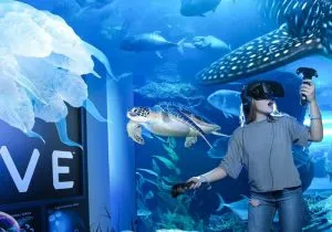 آکواریوم دبی