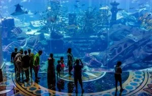 آکواریوم دبی