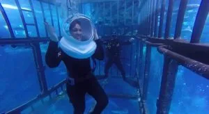 آکواریوم دبی