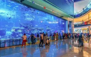 آکواریوم دبی
