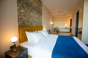 هتل میوزیوم تفلیس