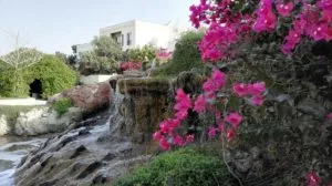 هتل فلامینگو کیش