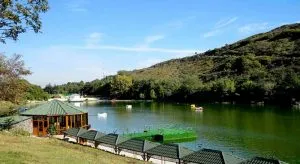 دریاچه لاکپشت تفلیس