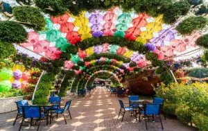 باغ معجزه دبی