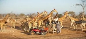 جزیره صیر بنی یاس