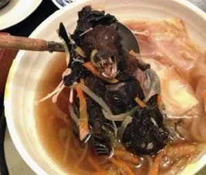 غذاهای چینی