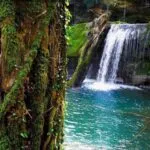 سفر به بهشت گمشده ایران