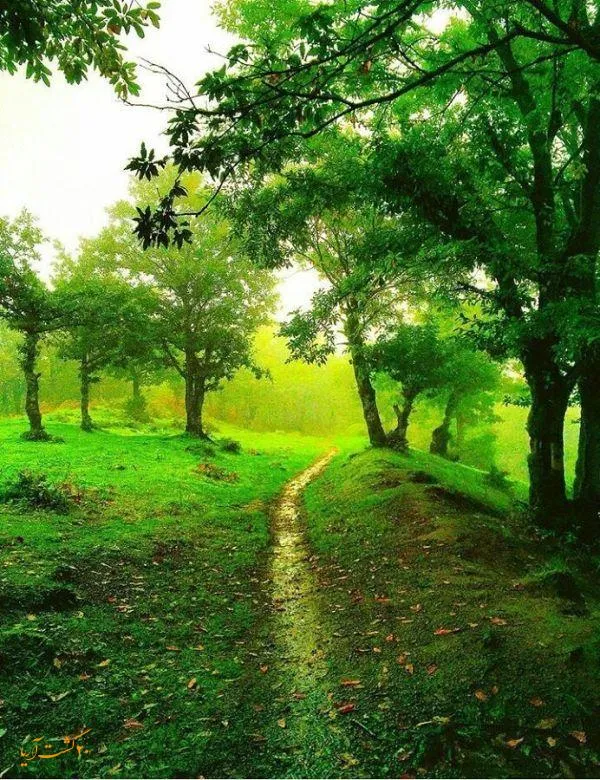 بهشت گمشده شیراز