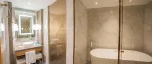 سرویس بهداشتی هتل سوفیتل استانبول