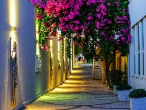 هتل بدروم هالیدی ریزورت اند اسپا