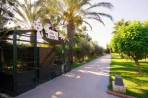 هتل شروود اکسکلوسیو لارا آنتالیا