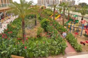 هتل هدف بیچ ریزورت اند اسپا