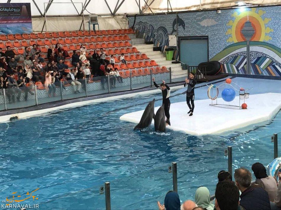 پارک دلفین کیش