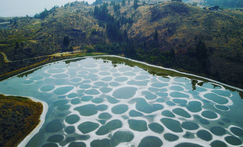 دریاچه خالدار کلمبیا