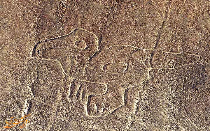 خطوط نازکا پرو