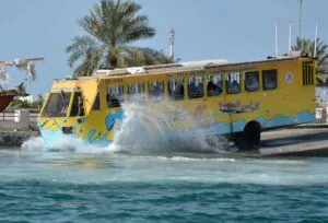 اتوبوس های ابی دبی