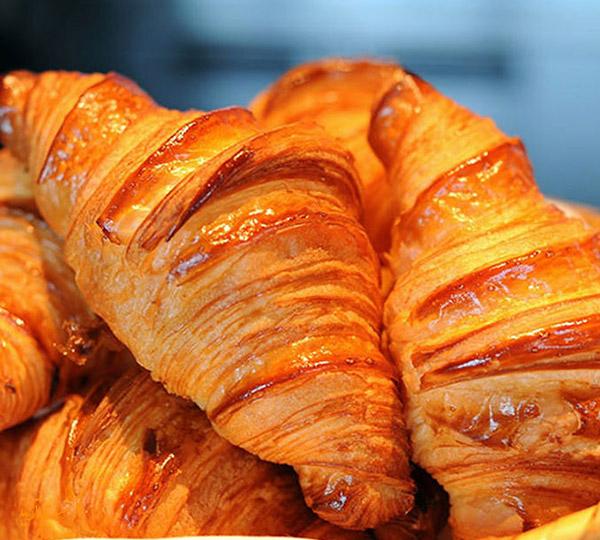 پینگو بیکری