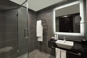 سرویس بهداشتی هتل پارک ریجز بیزنس بی دبی