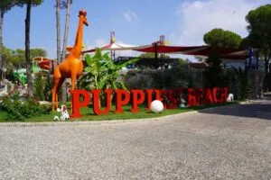 هتل سلکتوم لاکچری ریزورت