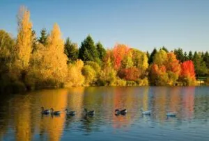 هتل تایتانیک دلوکس گلف بلک