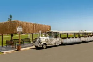 هتل تایتانیک دلوکس گلف بلک