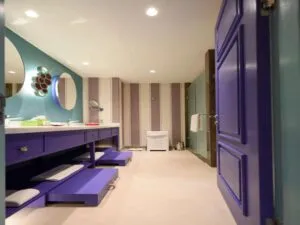 سرویس بهداشتی لند اف لجندز