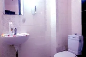 سرویس بهداشتی هتل لارا پالاس