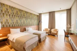 اتاق هتل تفلیس تاور