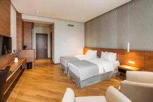 اتاق هتل تفلیس تاور