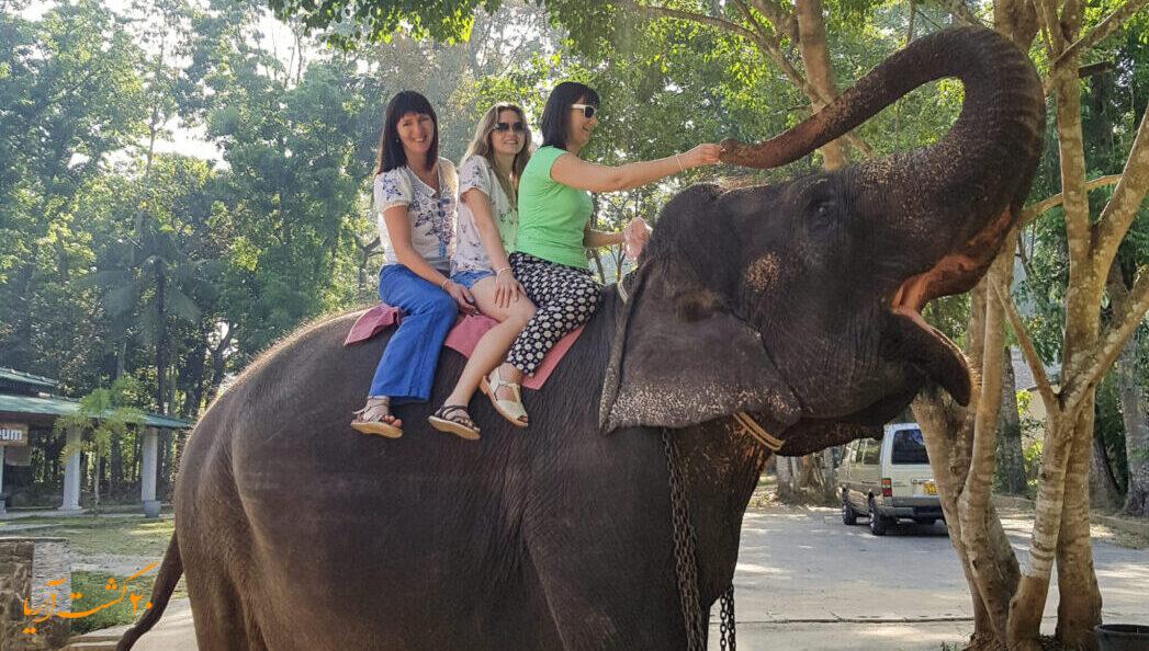 مرکز نگه داری از فیل ها در پیناوالا کندی سریلانکا