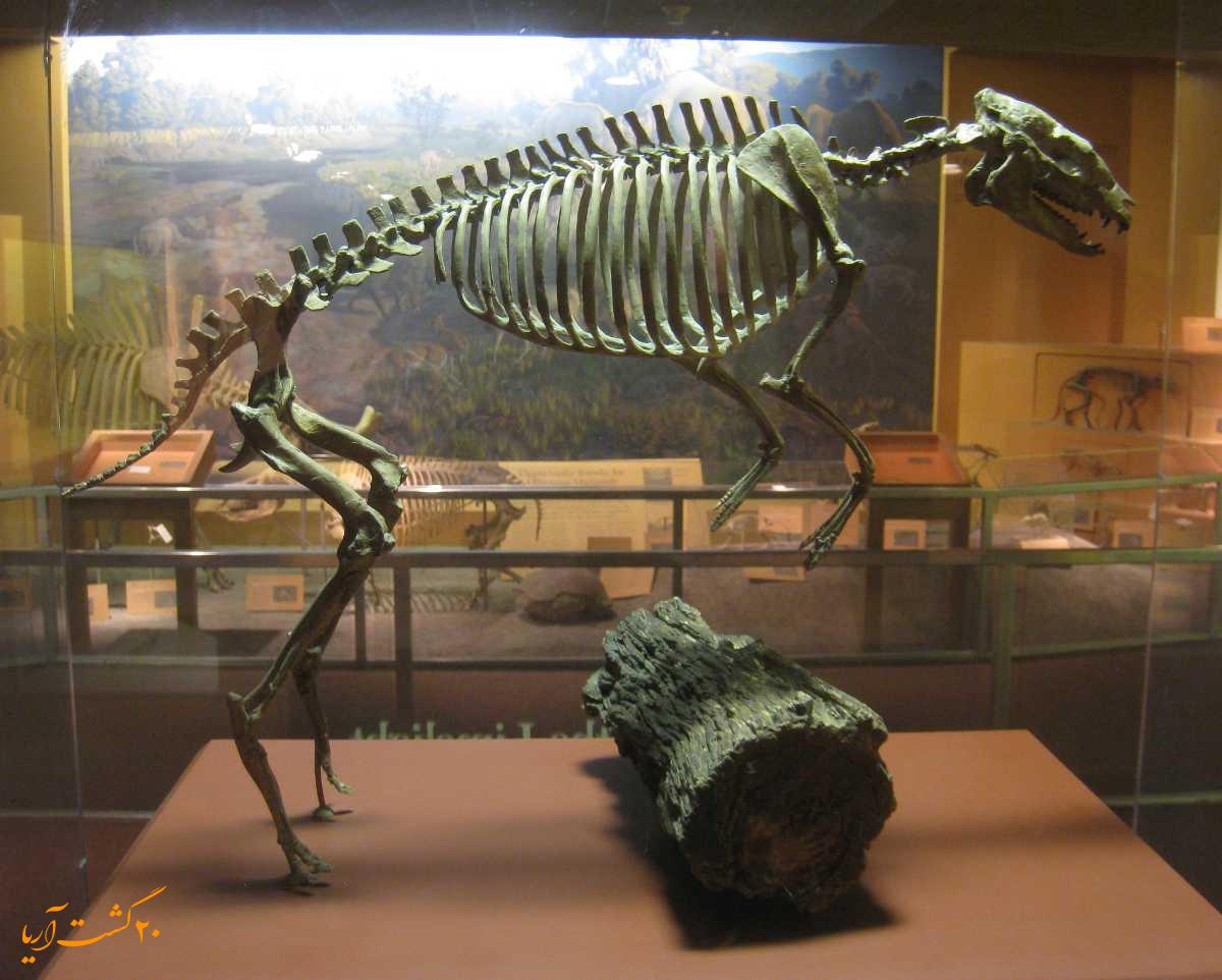 موزه ملی سریلانکا