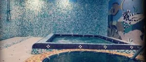 هتل بین المللی پرسپولیس شیراز