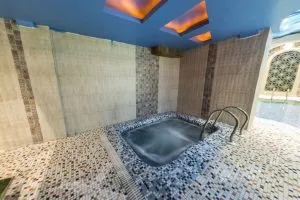 استخر هتل کریم خان شیراز