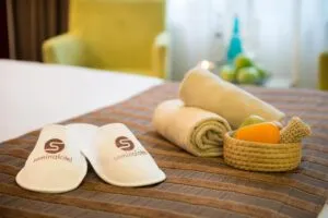 هتل سمینال استانبول