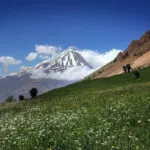 معرفی دو منطقه سرسبز ایران