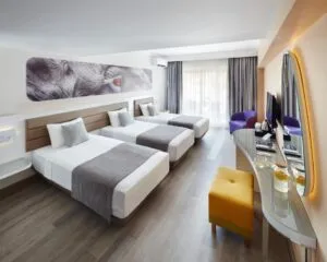 اتاق هتل لالیلا بلو