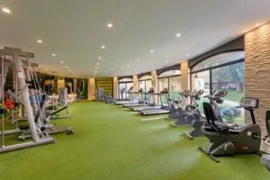 هتل لیماک آرکادیا