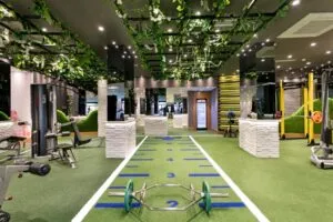 هتل لیماک آرکادیا