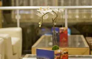 هتل پارک استار تکسیم