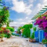 تور بدروم