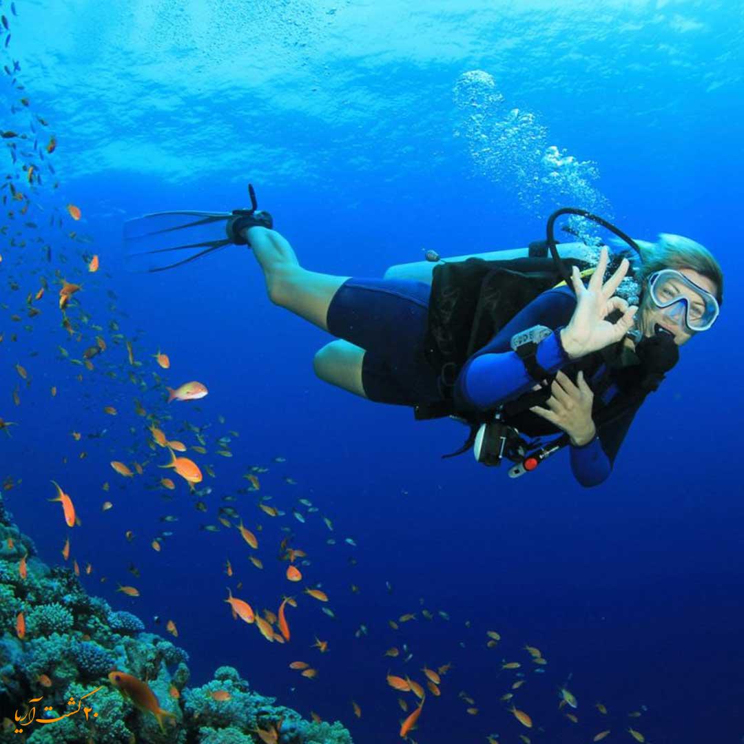 تور غواصی در دبی