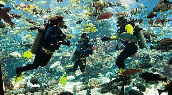 غواصی در دبی