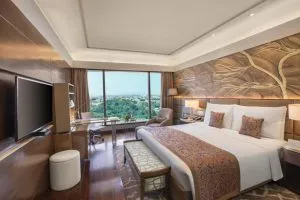 هتل لیلا امبیانس کانونشن دهلی