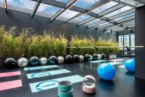 هتل پولمن اکسس تاورز تفلیس